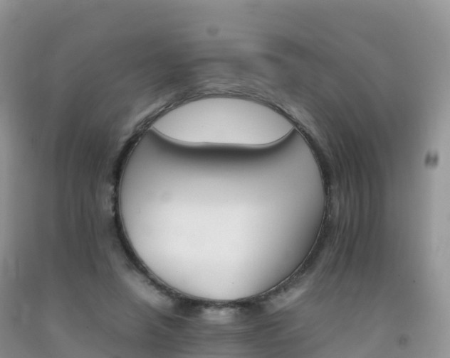 X0000092070450200709191207
