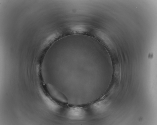 X0000092070451200709191207