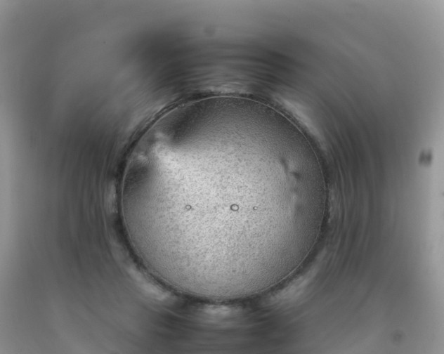 X0000092070453200709191207