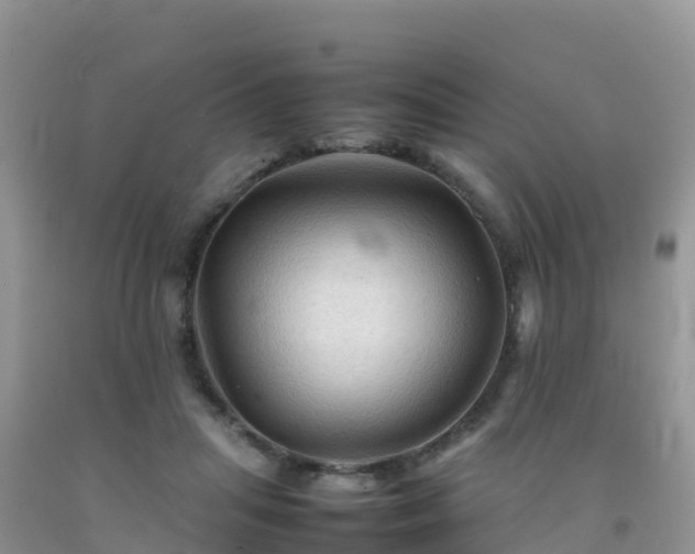 X0000092070455200709191207