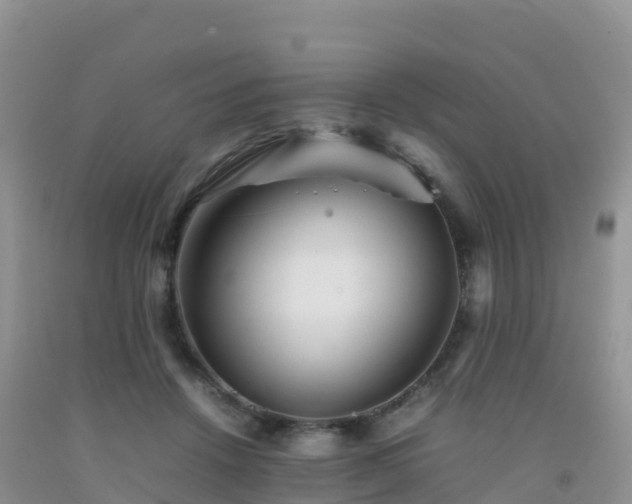 X0000092070456200709191207