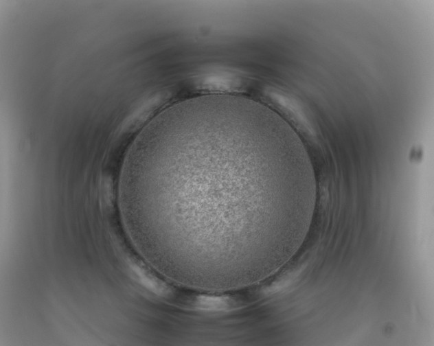 X0000092070457200709191207