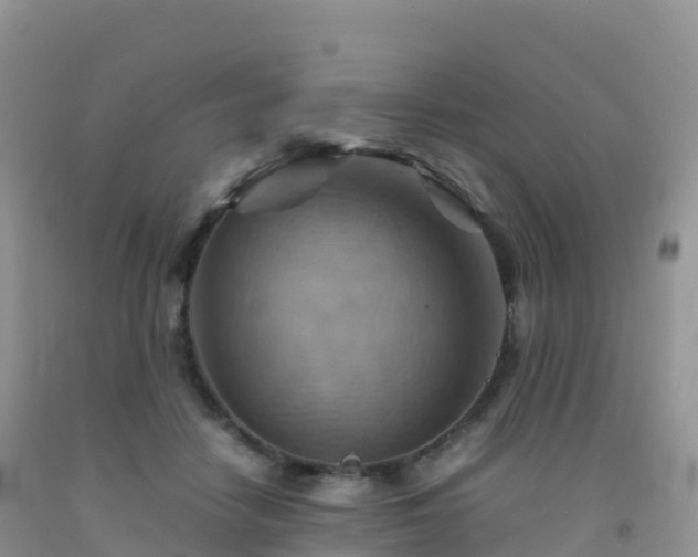 X0000092070458200709191207