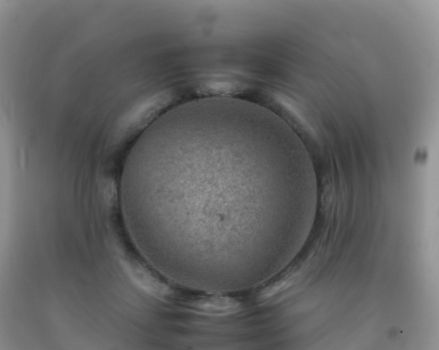 X0000092070459200709191207