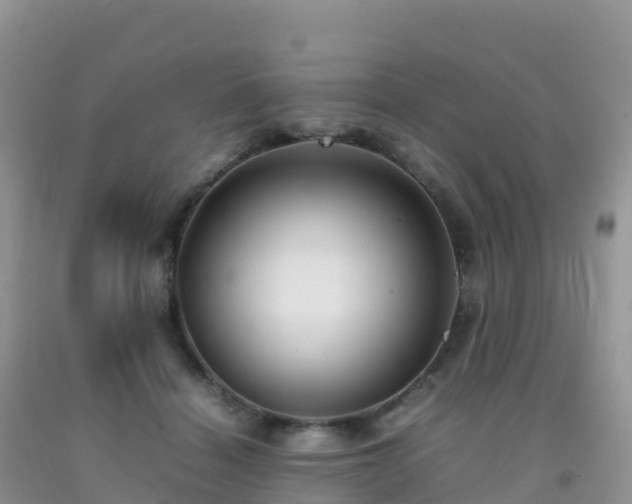 X0000092070460200709191207