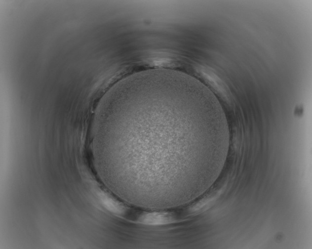 X0000092070461200709191207
