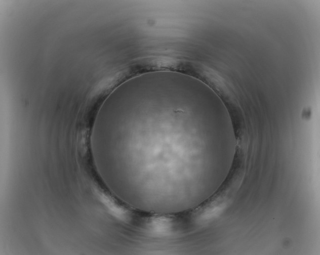 X0000092070462200709191207