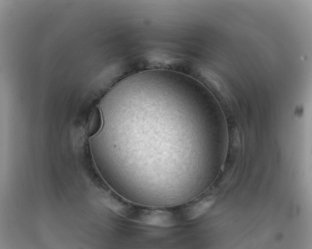 X0000092070463200709191207