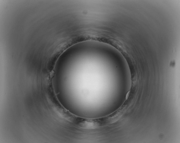 X0000092070464200709191207