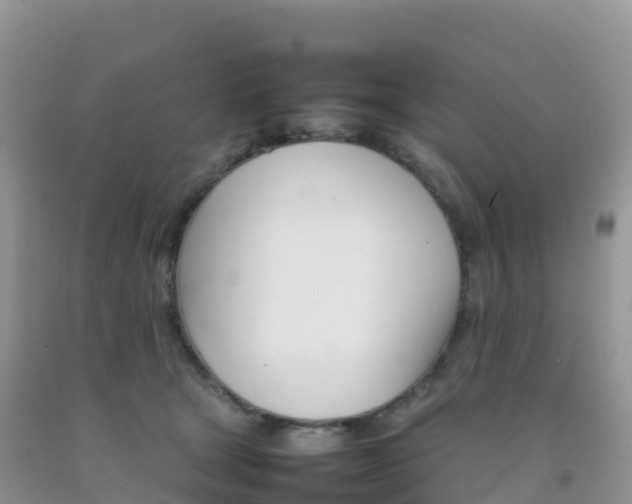 X0000092070465200709191207