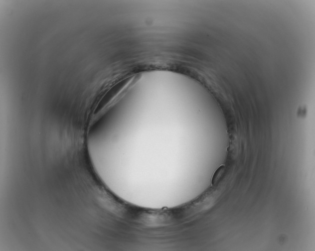 X0000092070466200709191207