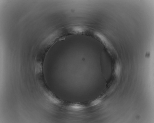 X0000092070467200709191207