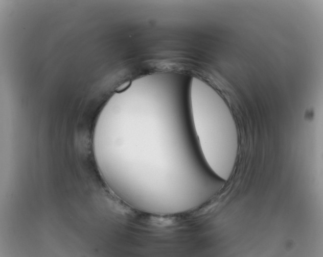 X0000092070469200709191207
