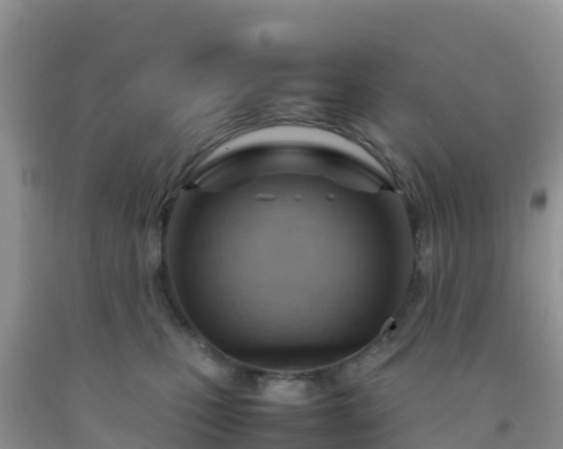 X0000092070471200709191207