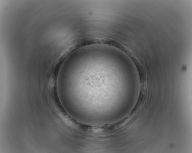 X0000092070472200709191207