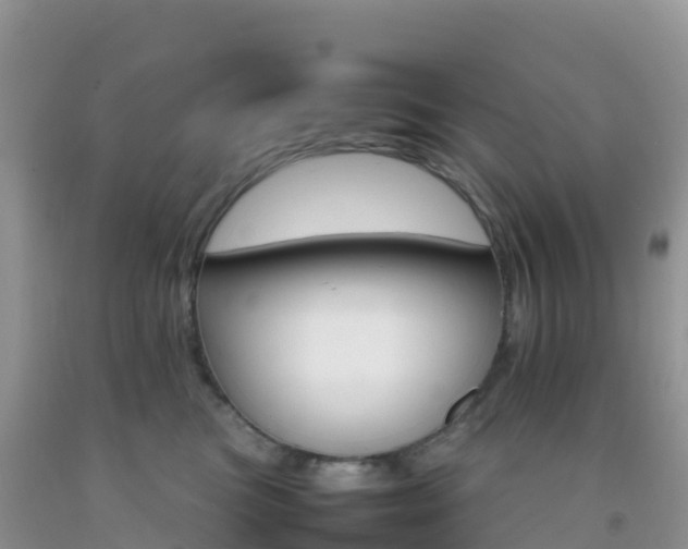 X0000092070473200709191207