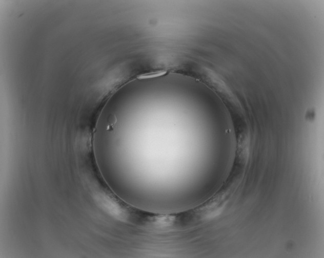 X0000092070474200709191207