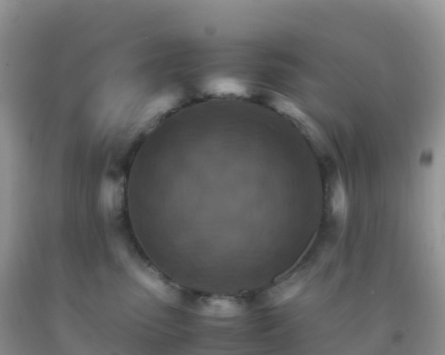 X0000092070475200709191207