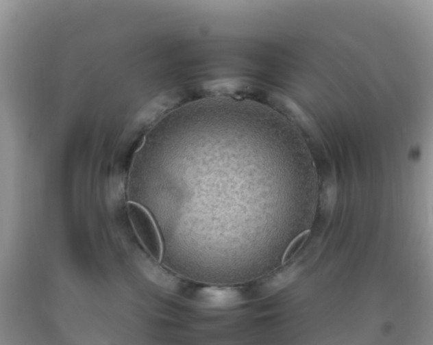 X0000092070477200709191207