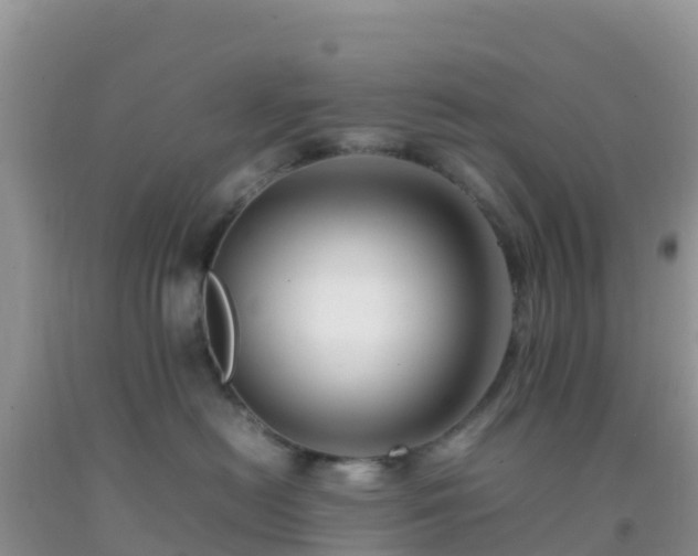 X0000092070478200709191207