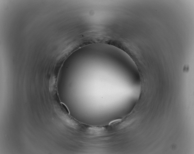 X0000092070480200709191207