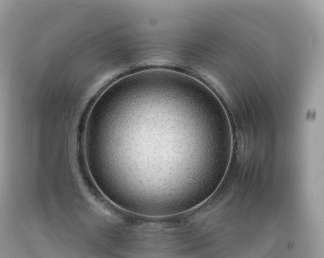 X0000092070482200709191206