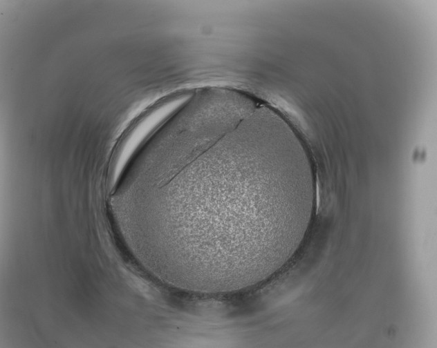 X0000092070483200709191206