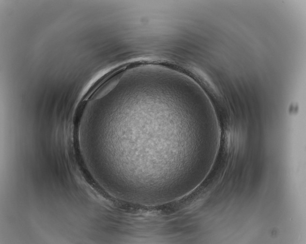X0000092070484200709191206