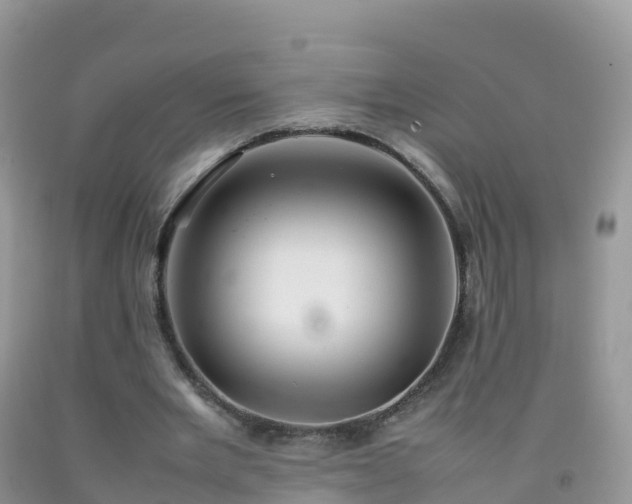 X0000092070485200709191206