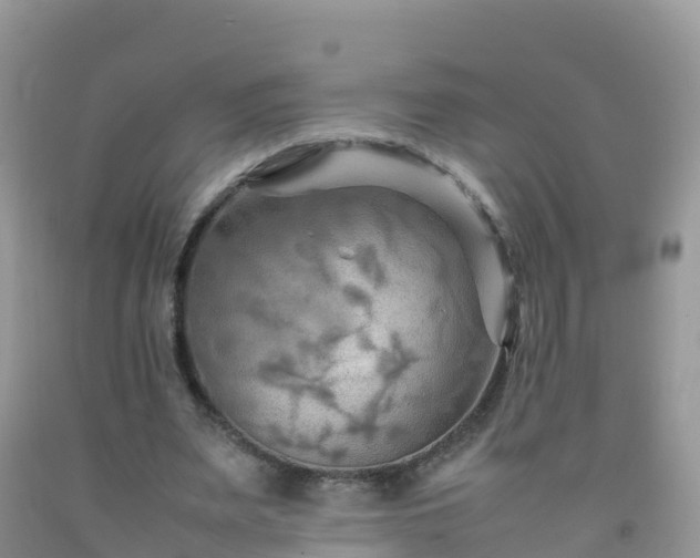 X0000092070487200709191206