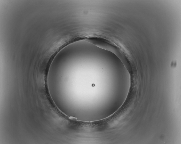 X0000092070489200709191206
