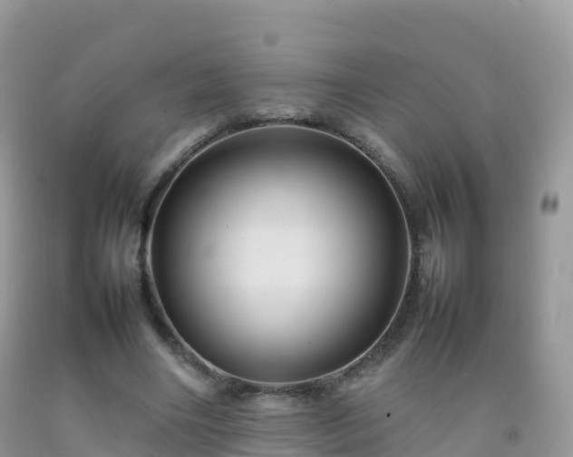 X0000092070490200709191206