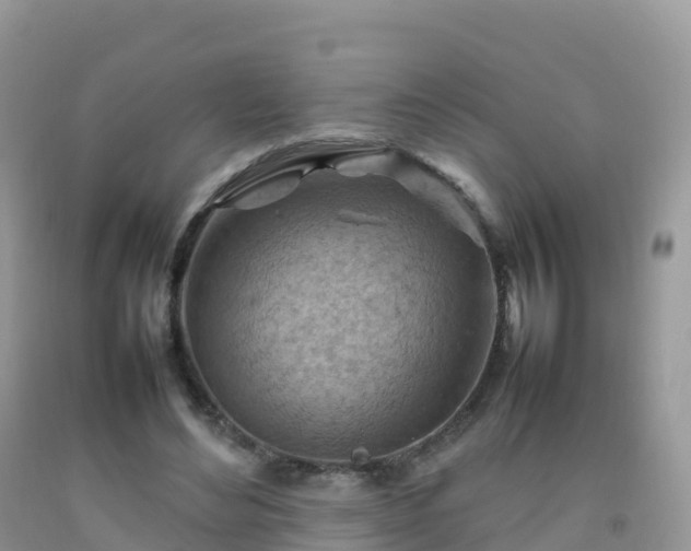 X0000092070492200709191206