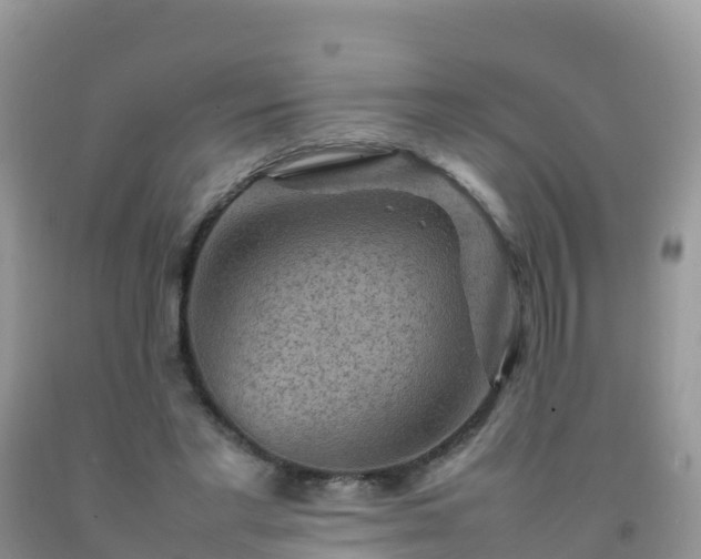 X0000092070493200709191206