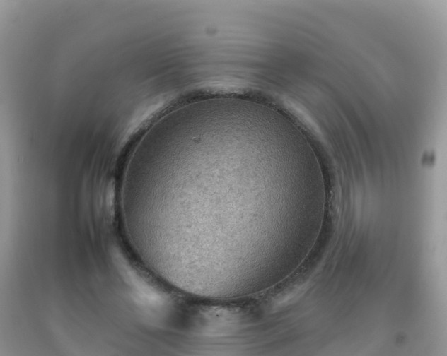 X0000092070494200709191206