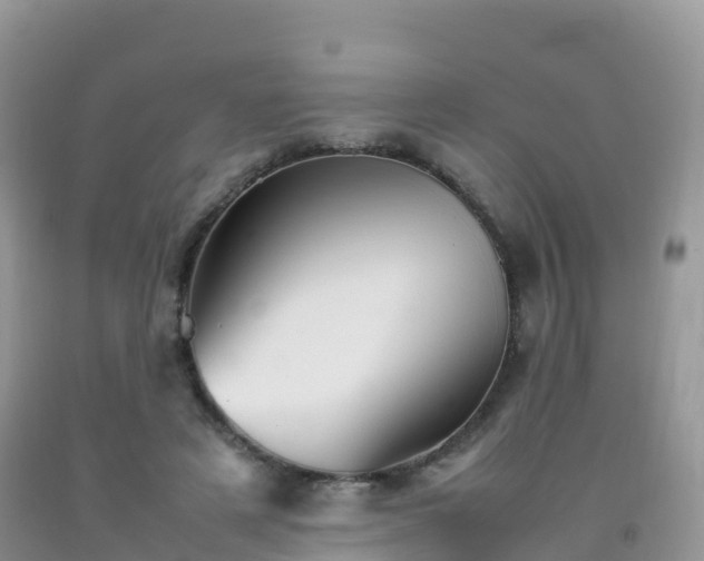 X0000092070497200709191206
