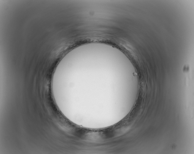 X0000092070499200709191206