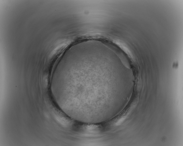 X0000092070501200709191206