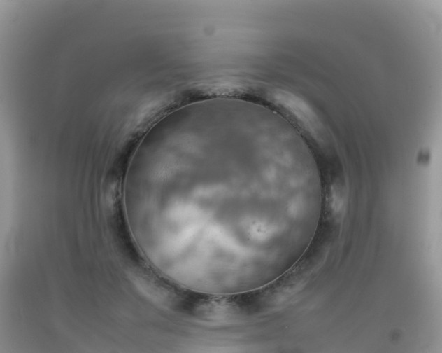 X0000092070503200709191206