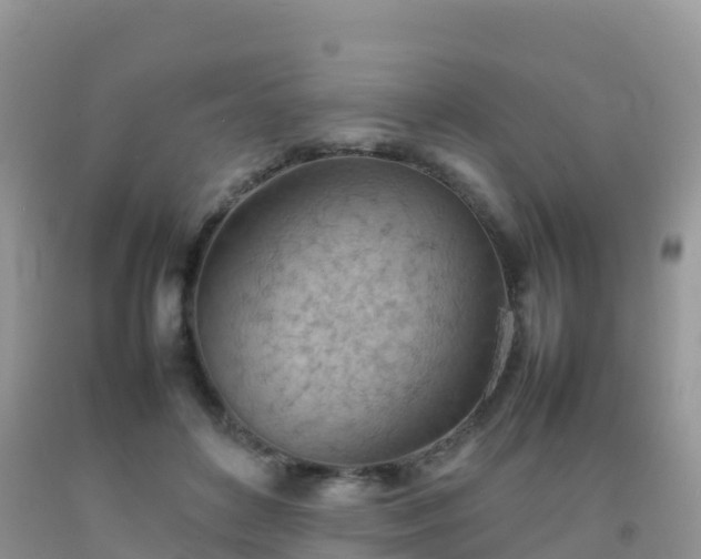 X0000092070504200709191206