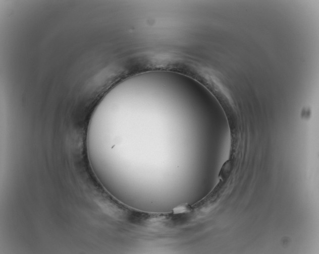 X0000092070505200709191206