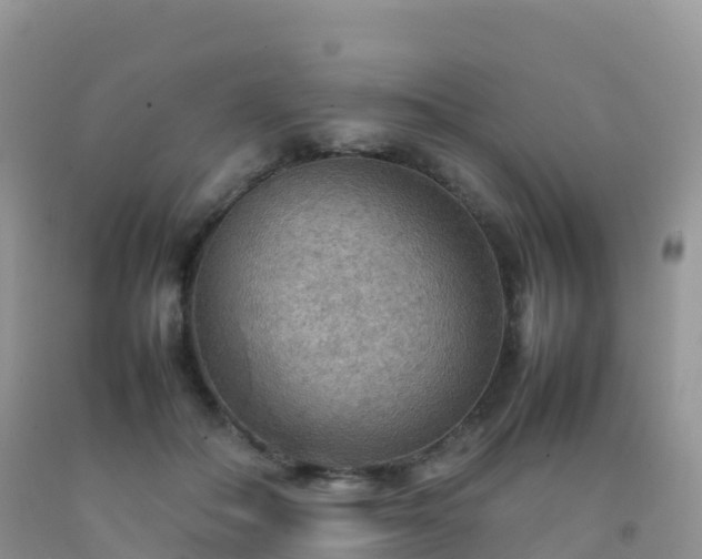 X0000092070506200709191206