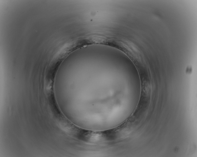X0000092070507200709191206