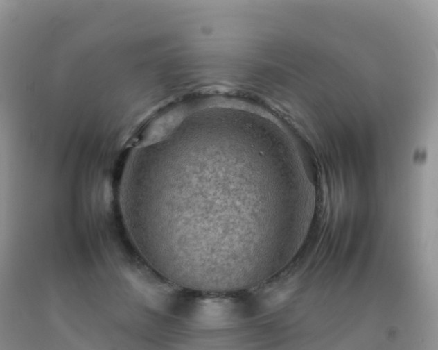 X0000092070508200709191206
