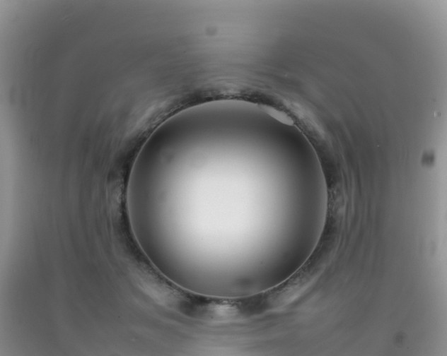 X0000092070509200709191206