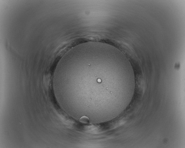 X0000092070511200709191206