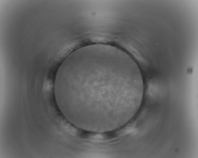 X0000092070513200709191206