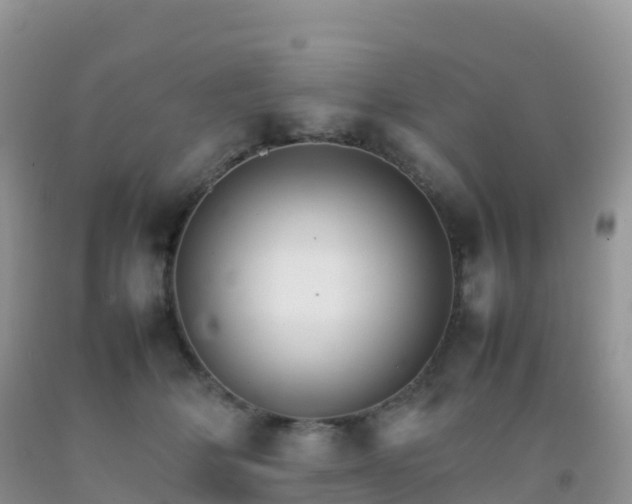 X0000092070514200709191206