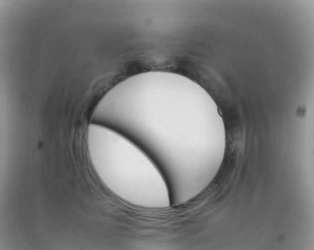 X0000092070515200709191206
