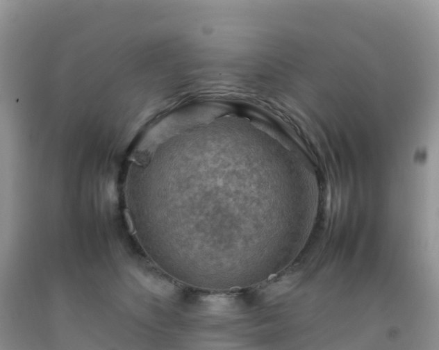 X0000092070516200709191206
